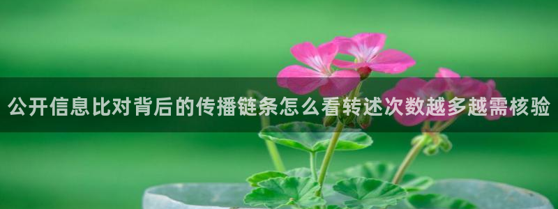 网络资讯爆料