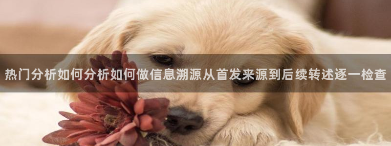 事件爆料大全