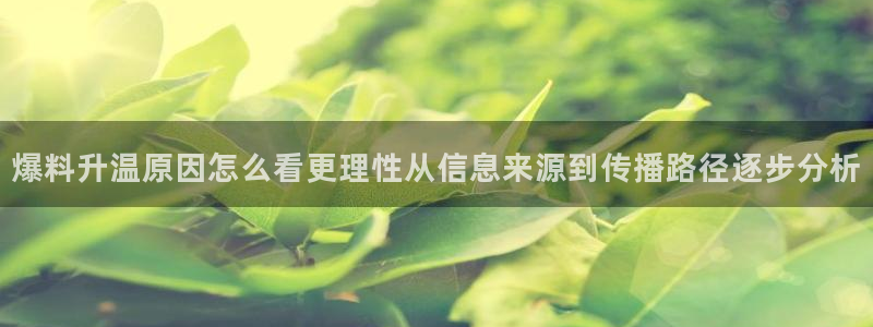 黑料爆料热门事件