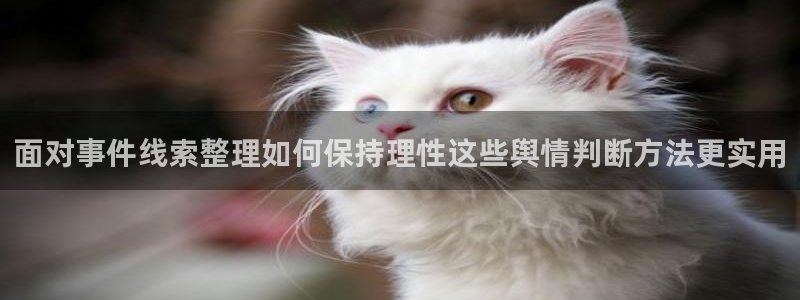 网络黑料热点