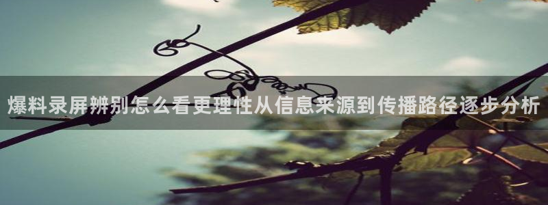 黑料爆料网页入口