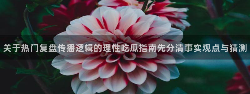 热门网络话题