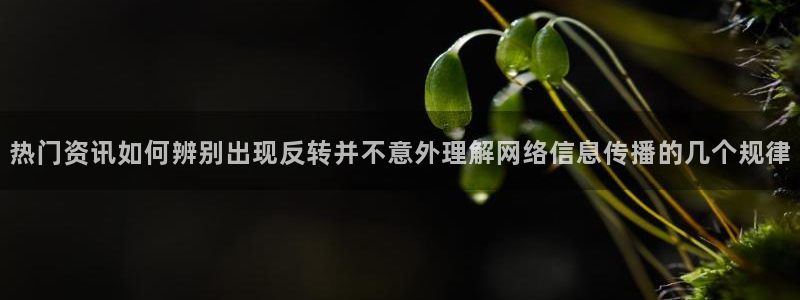 黑料网络资讯