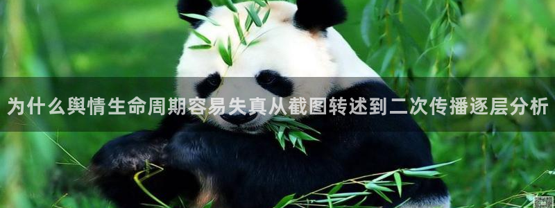 资讯爆料网站