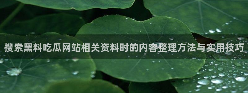 黑料爆料资讯